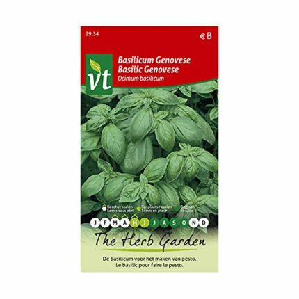 Basil Genovese Seeds - variety for preparing pesto