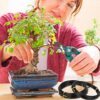 WUHECOME 3 Rolls Bonsai Training Wire 1.0 mm/ 1.5 mm/ 2.0 mm Aluminium Plant Training Wire Tree Training Wires Kit Black Garden Wire for Shaping