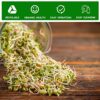 1 Pcs Seed Sprouting Jar Kit with Wide Mouth Mason Jars Durable Bean Sprouts Growing Kit with Stainless Steel Screen Sprout Lids Stands Shading C