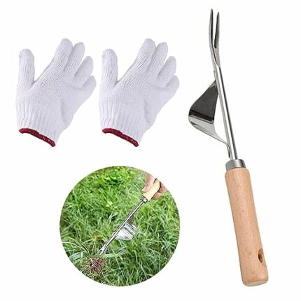 HZZXCH Weed Remover Tool and a Pair of Gloves,Weed Puller Weeder Weeding Tools for Garden Weeder Tool Stainless Steel Manual Weeder Puller Tool f