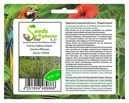 Pcs - 10x Ficinia Nodosa Grasses Garden Plants - Seeds ID556 Plants Shop Samenbank Pfullingen Patrik Ipsa