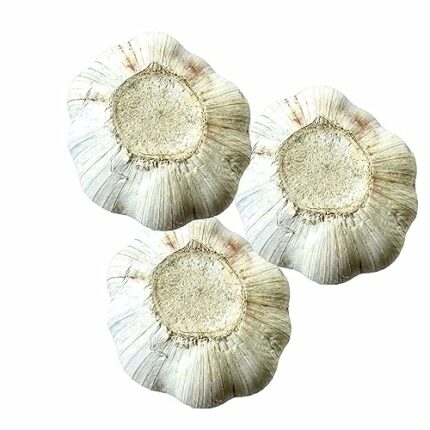 Fresh Himalayas Natural Garlic Whole Bulb Zade Elaphant Fresh White Large 3 Bulb Garlic for Spices & Health Benefits Planting & Growing Your Own