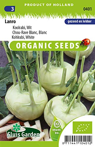 Kohlrabi Lanro White Vegetable Seeds per Gram - Organically Grown Seeds per Gram - 0,5 g - Seeds per Gram: +/-200