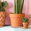 10 Pieces Cork Plant Plastic Mat Round Absorbent Cork Mat Round Plate Pad Table Plant Cork Board Pads for Gardening Indoor Outdoor Pots DIY Craft