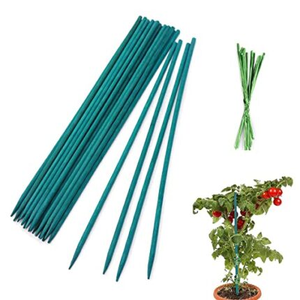 TSKDKIT 30cm Garden Stakes Bamboo Sticks Plant Support Sticks with 50 Pcs Twist Ties, Green Plant Stakes 12 inch Plant Canes Sticks for Garden or