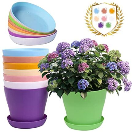 HZSOOCH 8pcs 14CM Colorful Plastic Plant Pots, 5.5" Small Plastic Flower Pots, Indoor Plant Pots, Garden Pots with Saucer for All House Plants, F