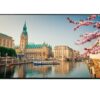 Vestel Signage Display 50" 4K 3840 x 2160 (UHD) Resolution Digital Signage Monitor with OPS Slot and SoC Content Management, 500 cd/m², 24/7 Oper