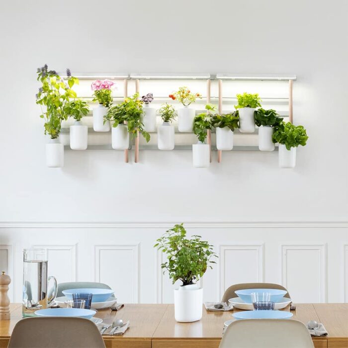 Prêt à Pousser Modulo Smart Indoor Garden, 4 x Organic Capsules, Basil/Lemon Basil/Chives/Leaf Mustard Pods