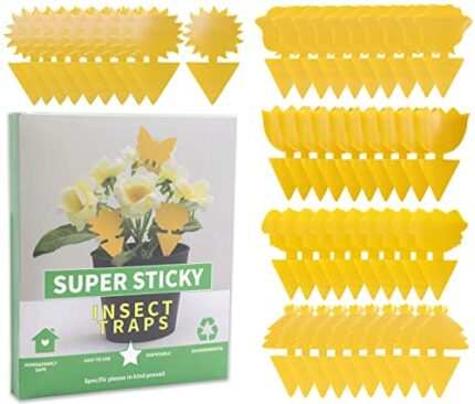 50PCS fruit fly traps yellow Fly Paper sticky catcher - Double-sided Fungus Gnat Sticky Catcher For Multiple Insect