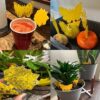 12PCS Fruit Fly Trap,Fungus Gnat Sticky Traps,Fruit Fly Killer,Fruit Fly Traps Indoor,Effectiveness catches and eliminate straps fruit flies and