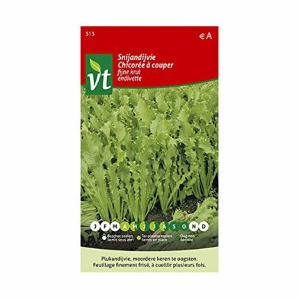 Chicory Endive Seeds - 3 g - Seeds: 550