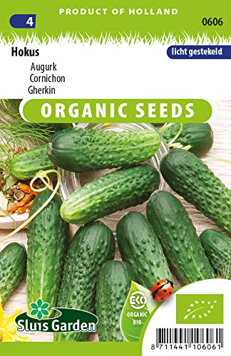 Gherkin Hokus Vegetable Seeds per Gram - Organically Grown Seeds per Gram - 0,7 g - Seeds per Gram: +/-30