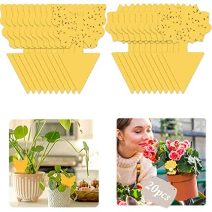 Buauty fly trap 20 Pcs, Yellow Fly Paper Stickers catcher fruit fly traps indoor Non-Toxic and Eco-Friendly fungus gnat killer for Multiple Insec