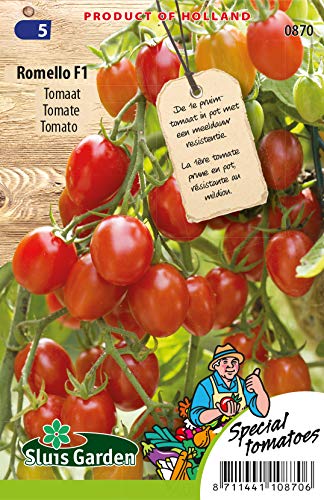 Tomato Romello F1 Vegetable Seeds per Gram - Perfect in pots and Hanging Baskets - Seeds per Gram: +/-10