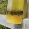Zero In Ultra Power XL Outdoor Fly Trap. Reusable, Outdoor Use, Holds up to 40,000 Flies. Poison-Free