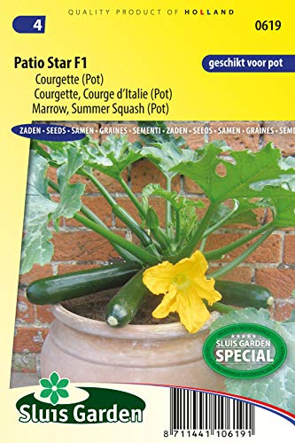 Marrow, Patio Star F1 (Pot) Vegetable Seeds per Gram - Splendid courgette for Cultivation in Large pots - Seeds per Gram: +/-10