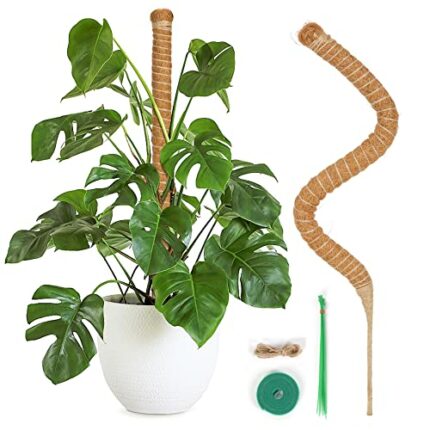 T4U 25 Inch 1 Pack Monstera Moss pole for Indoor Plants, Bendable Plant Support with Plant Gardening Tools Jute Rope, Perfect for Climbing Plants