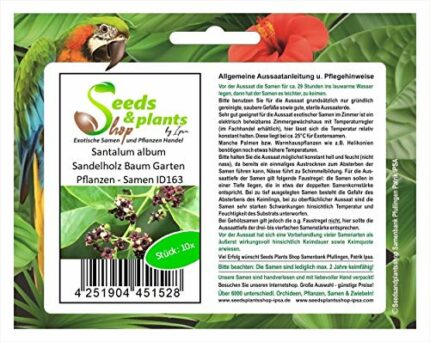 Pcs - 10x Santalum Album Sandalwood Tree Garden Plants - Seeds ID163 & Plants Shop by Ipsa