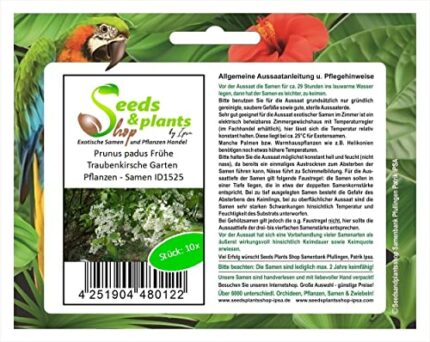 Pcs - 10x Prunus Padus Early Traubenkirsche Tree Garden Seeds ID1525 - Seeds Plants Shop Samenbank Pfullingen Patrik Ipsa