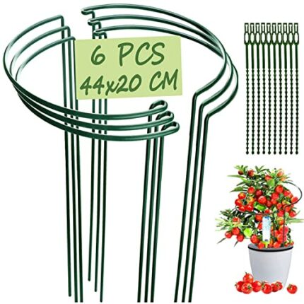 VLYHGO 6PCS 44x20cm Plant Supports for Garden Half Round Ring Plant Support Large Metal Garden Supports for Tomatoes Tulips, Roses, Daisies, Lave