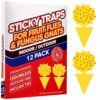 12PCS Fruit Fly Trap,Fungus Gnat Sticky Traps,Fruit Fly Killer,Fruit Fly Traps Indoor,Effectiveness catches and eliminate straps fruit flies and