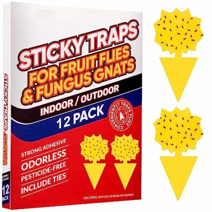 12PCS Fruit Fly Trap,Fungus Gnat Sticky Traps,Fruit Fly Killer,Fruit Fly Traps Indoor,Effectiveness catches and eliminate straps fruit flies and