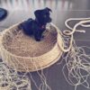 10mm Thick Rope 32 Feet Heavy Duty Strong Hessian Jute Twine String Natural Brown Garden Sisal Rope for Decoration Garden Crafts Hemp Shibari Rop