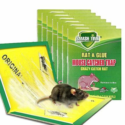 WHEELIO Mouse Sticky Pads - 6 Pack Sticky Mouse Traps Boards for Indoor, Outdoor, Kitchen and Garden