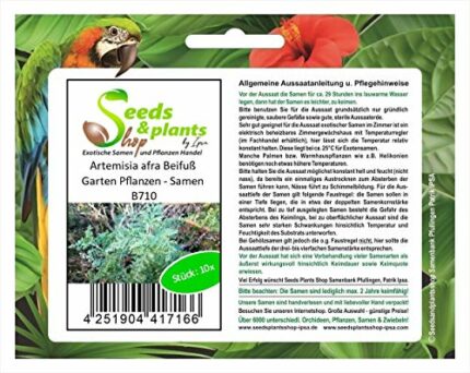 Pcs - 10x Artemisia Afra Mugwort Garden Plants - Seeds B710 Plants Shop Samenbank Pfullingen Patrik Ipsa
