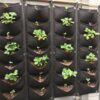 2 Pack Wall Planting Bags - 7 Pocket Hanging Vertical Wall Planter Planting Grow Bags for Indoor and Outdoor Use - Perfect for Balconies, Yards,