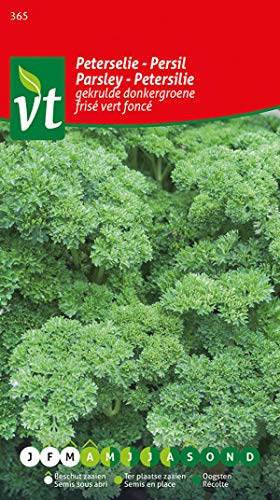 Parsley Curly, Dark Green Seeds