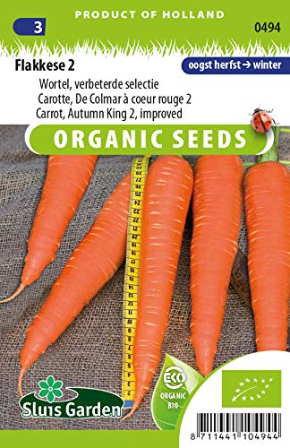 Carrot Autumn King, Improved Selection Vegetable Seeds per Gram - Organically Grown Seeds per Gram - 1,5 g - Seeds per Gram: +/-1100