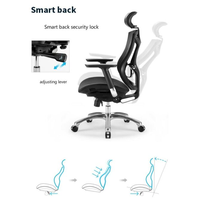 TFIIEXFL Ergonomic Computer Chair Home Waist Engineering Office Chair E-sports Seat Human Design Multi-function Adjustment