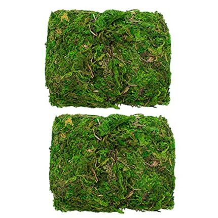 TRIXES 100g Decorative Dried Green Moss Perfect for Plants & Flower Arranging or Wreath Making – Plant Terrariums or Reptile Cages