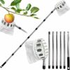 4.2M Apple Picker with Telescopic Handle, Fruit Picker, Fruit Picker Tool with Lightweight Stainless Steel Connecting Pole and Fabric Bag, Fruit