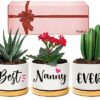 Wife Birthday Gifts, Valentines Gifts for Wife Her from Husband, Best Wife Succulent Pots, Unique Presents for Wife on Anniversary Wedding Christ