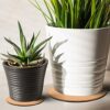 10 Pieces Cork Plant Plastic Mat Round Absorbent Cork Mat Round Plate Pad Table Plant Cork Board Pads for Gardening Indoor Outdoor Pots DIY Craft