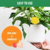 12PCS Fruit Fly Trap,Fungus Gnat Sticky Traps,Fruit Fly Killer,Fruit Fly Traps Indoor,Effectiveness catches and eliminate straps fruit flies and