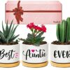 Wife Birthday Gifts, Valentines Gifts for Wife Her from Husband, Best Wife Succulent Pots, Unique Presents for Wife on Anniversary Wedding Christ