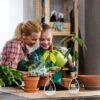 YWNYT Avocado Seed Starter Vase, 2Pcs Avocado Seed Sprout Starter Avocado Vase Pot for Growing Planter, Avocado Tree Growing Kit Glass Vases Seed