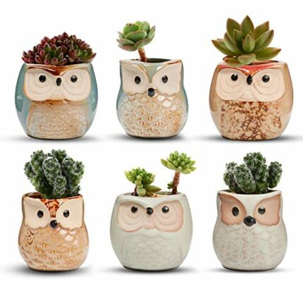 T4U 6CM Ceramic Succulent Planter Pots Mini Size Set of 6, Cute Owl Bonsai Pots Home and Office Decoration Desktop Windowsill Gift for Gardener f