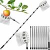 4.2M Apple Picker with Telescopic Handle, Fruit Picker, Fruit Picker Tool with Lightweight Stainless Steel Connecting Pole and Fabric Bag, Fruit