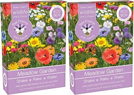 Bee Friends Meadow Garden Flower Seeds Shaker Box (15g) x 2