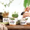 Wife Birthday Gifts, Valentines Gifts for Wife Her from Husband, Best Wife Succulent Pots, Unique Presents for Wife on Anniversary Wedding Christ