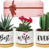 Wife Birthday Gifts, Valentines Gifts for Wife Her from Husband, Best Wife Succulent Pots, Unique Presents for Wife on Anniversary Wedding Christ