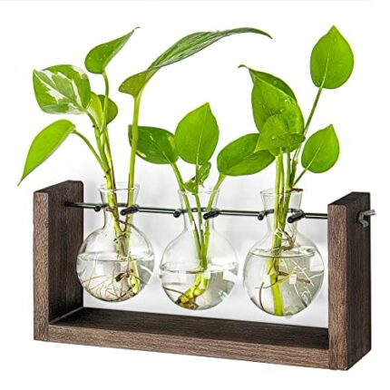 Ivolador Tabletop Hanging Propagation Station Modern Glass Planter 3 Bulb Shaped Bud Vase in Wood Stand Plants Terrarium for Hydroponic Plants Cu