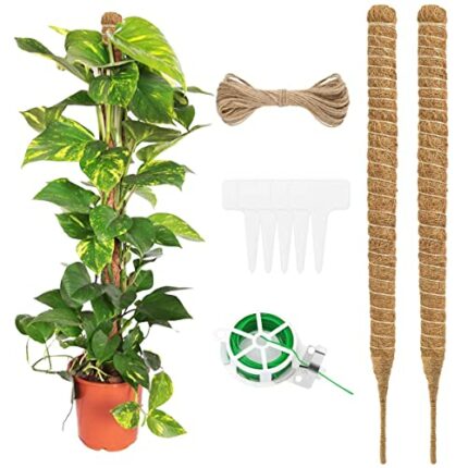2 Pieces Moss Pole for Cheese Plant,Plant Pole,Plant Sticks Support,Plant Moss Pole,with 1 Roll of Tie,1 Hemp Rope,and 5 Gardening Labels,for Che