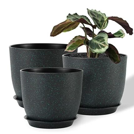 Warmplus 25/23/20cm Plant Pots Indoor, 3 Pack Modern Decorative Plastic Planters with Drainage Holes and Tray for House Plants, Black with Green