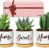 Wife Birthday Gifts, Valentines Gifts for Wife Her from Husband, Best Wife Succulent Pots, Unique Presents for Wife on Anniversary Wedding Christ