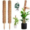 YAUNGEL Moss Pole, 2 Pcs 41CM/16 Inches Coir Totem Pole Moss Stick with 20M Twist Ties, Plant Support Totem Pole Plant Climbing Coco Coir Poles t